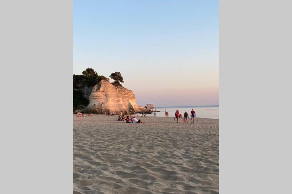 Maison Au Coeur De Meschers - Proche Des Plages Экстерьер фото